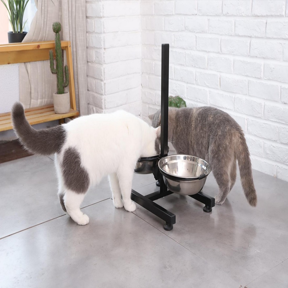 Stainless steel raised pet bowl