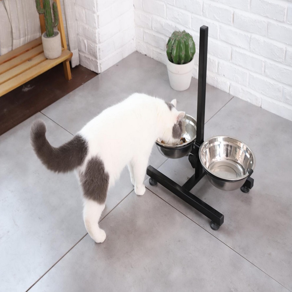 Stainless steel raised pet bowl