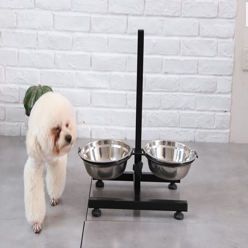 Stainless steel raised pet bowl