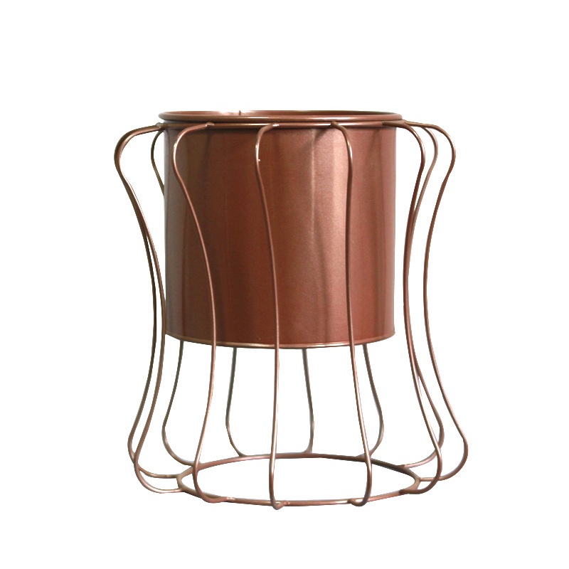 Flowerpot of succulent and carrot