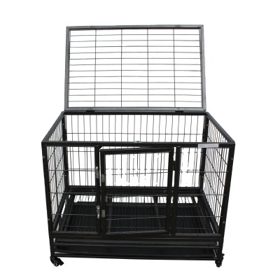 Cages for small sized cats and dogs