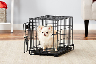fold bed 